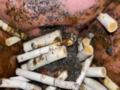 My ashtray is a sissy toilet.